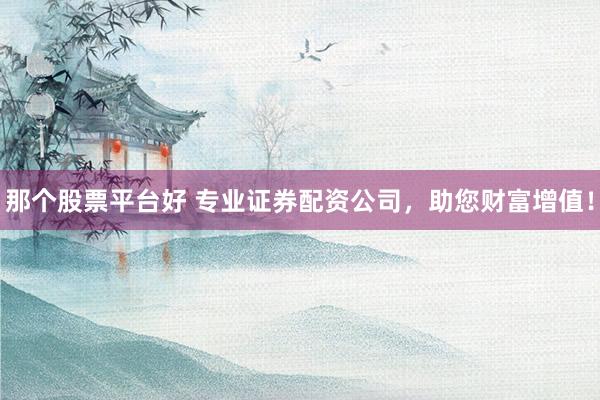 那个股票平台好 专业证券配资公司，助您财富增值！