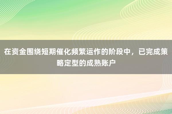 在资金围绕短期催化频繁运作的阶段中，已完成策略定型的成熟账户