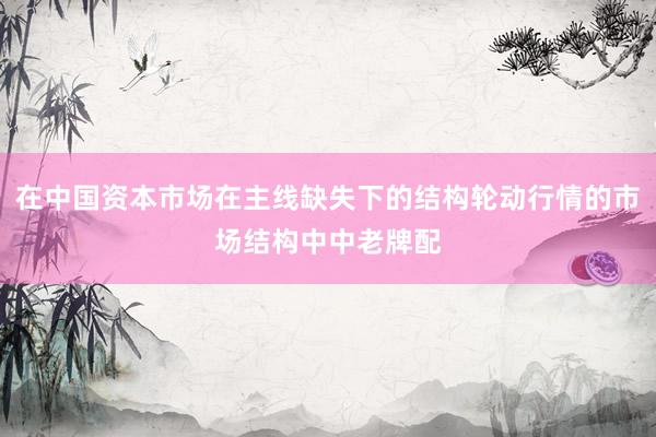 在中国资本市场在主线缺失下的结构轮动行情的市场结构中中老牌配
