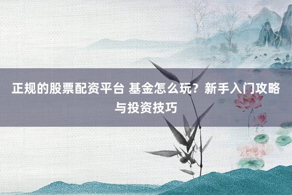正规的股票配资平台 基金怎么玩？新手入门攻略与投资技巧